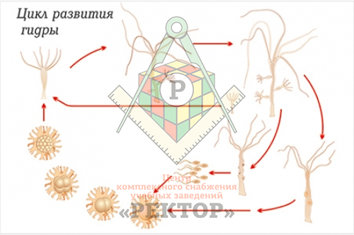 Кракен тг маркетплейс